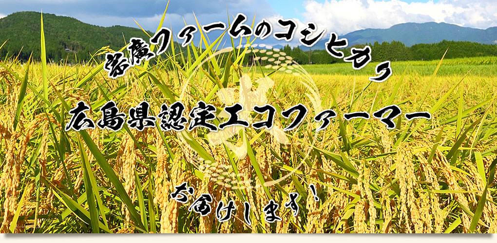 宗廣ファームのコシヒカリお届けします！　広島県認定エコファーマー